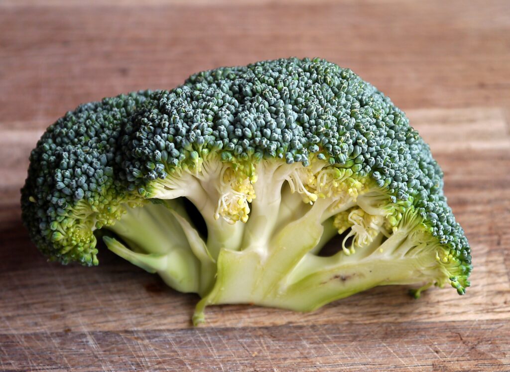 Lebensmittel richtig lagern - Brokkoli in den Kühlschrank