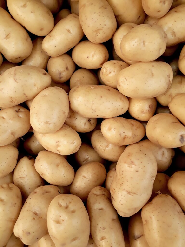 Kartoffel therapie-welt